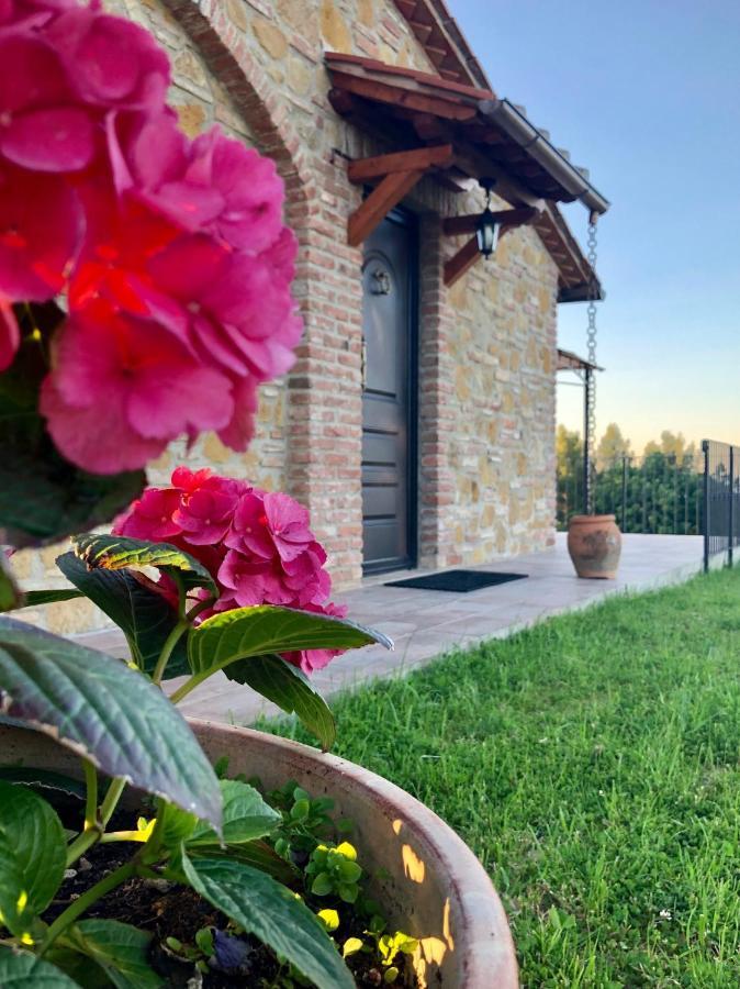 Agriturismo I Colli Montaione Exterior photo