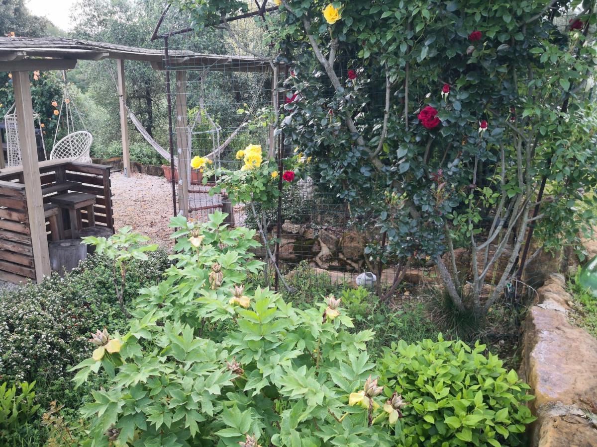 Agriturismo I Colli Montaione Exterior photo